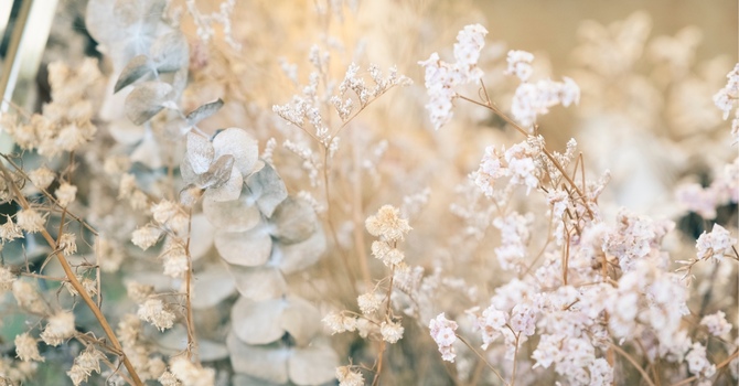 Naturopathic Medicine